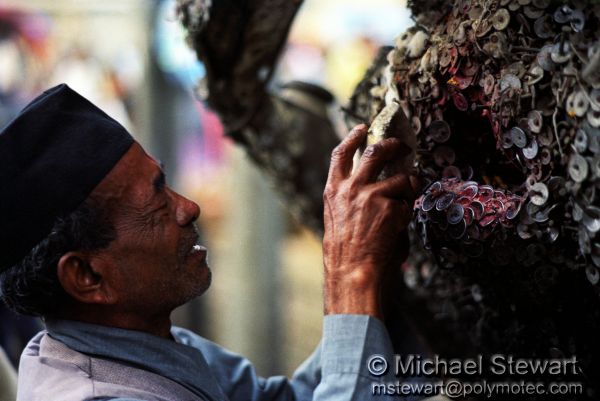 Headache Stump in Kathmandu